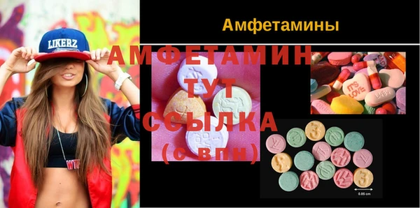 твердый Бородино