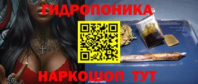 Альфа ПВП Гусев
