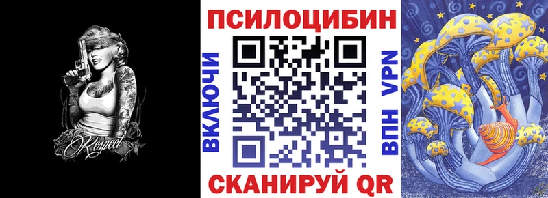 Галлюциногенные грибы Cubensis  кракен как зайти  Новозыбков 