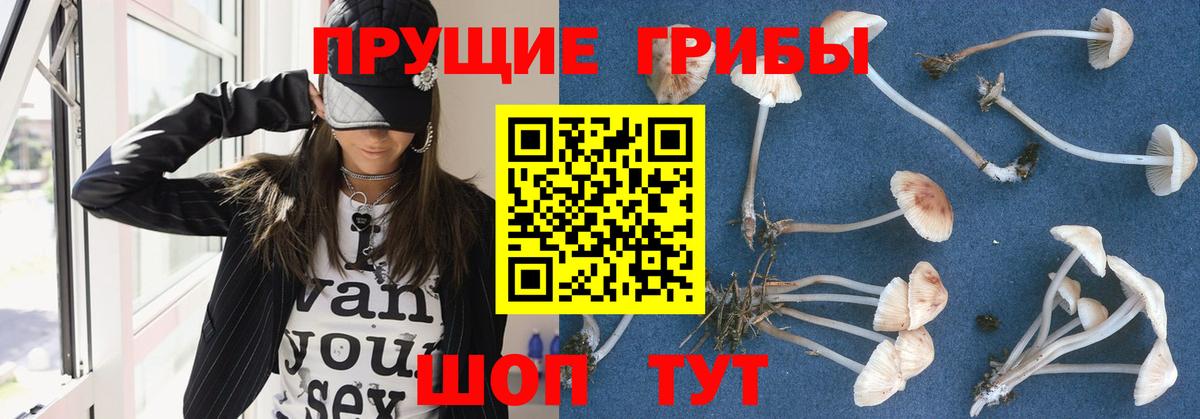 Галлюциногенные грибы ЛСД Новозыбков