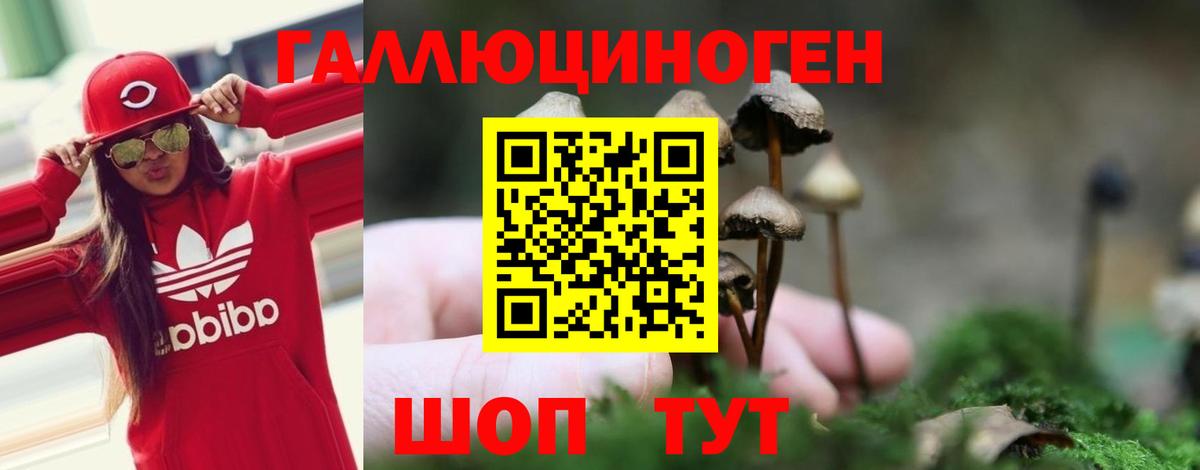 Галлюциногенные грибы Cubensis  Псилоцибиновые грибы ЛСД  Новозыбков 