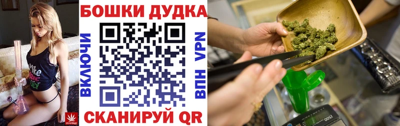 где найти наркотики  Новозыбков  МАРИХУАНА планчик 