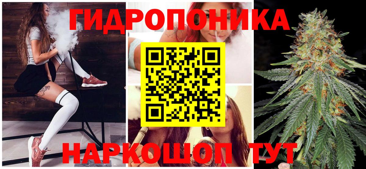 Марихуана гибрид Новозыбков