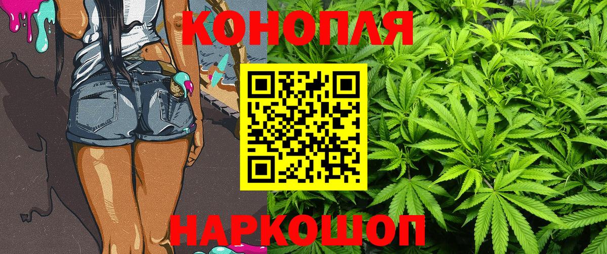 Бошки марихуана OG Kush  Шишки марихуана OG Kush  Вход с VPN  Новозыбков  МАРИХУАНА SATIVA & INDICA 